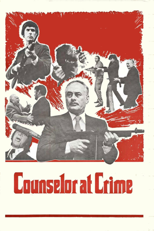 Il consigliori (1973) poster