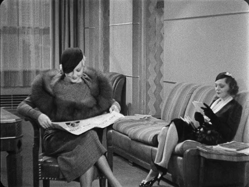 Counsellor at Law screenshot 3