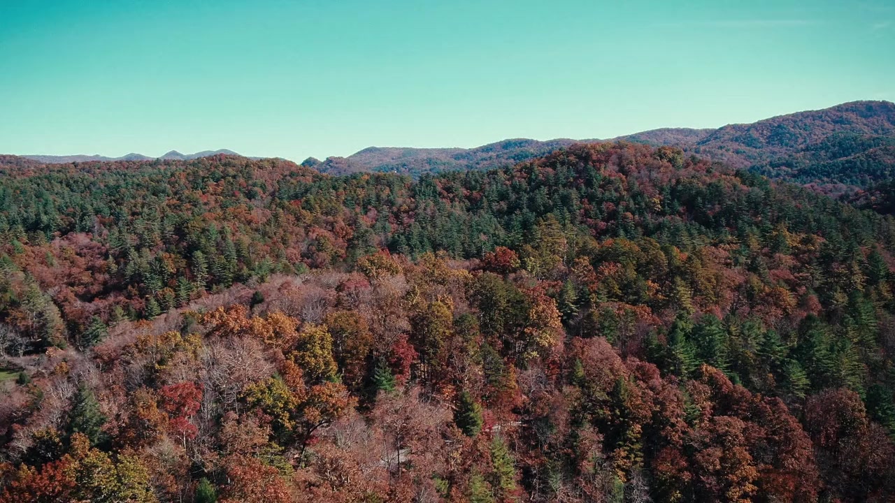 County Line: No Fear screenshot 1