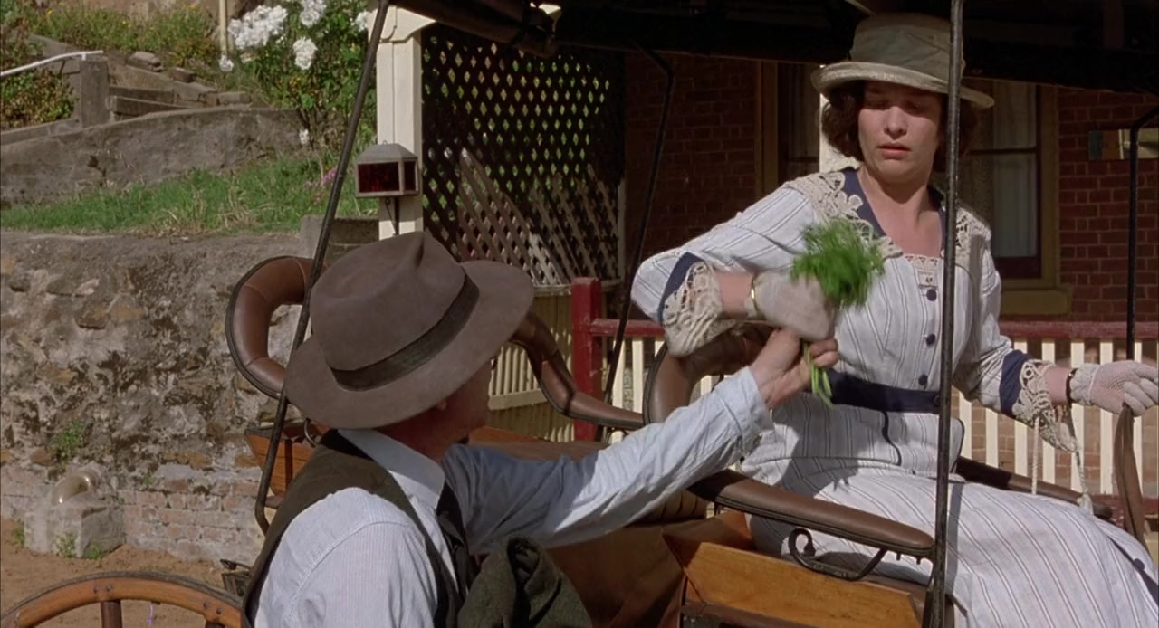 Country Life screenshot 1