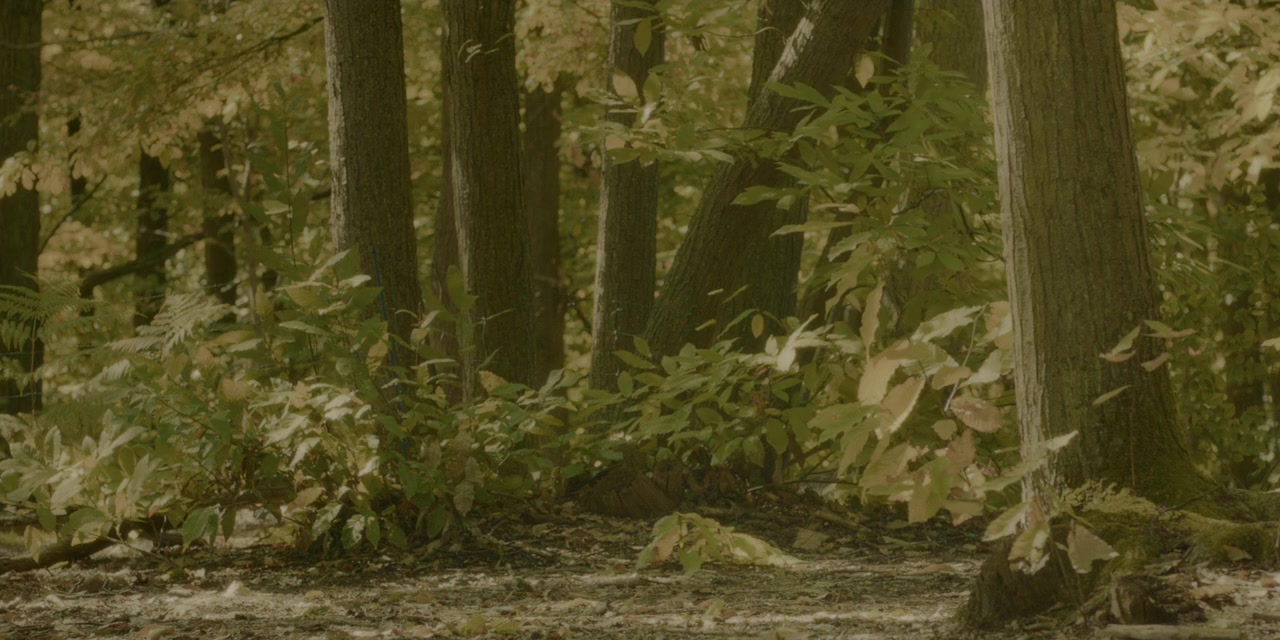 Coup de chance screenshot 1