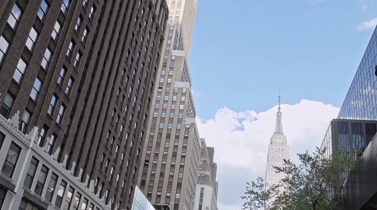 Covid Diaries NYC screenshot 1