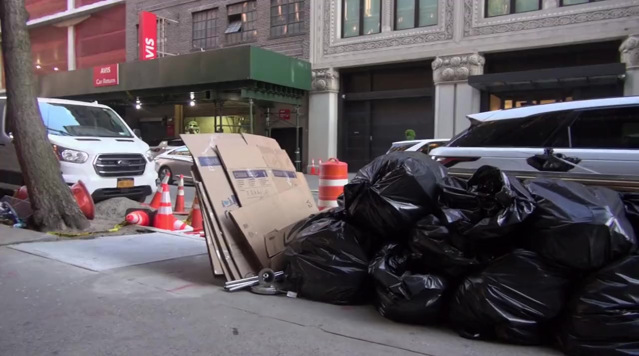 Covid Diaries NYC screenshot 3