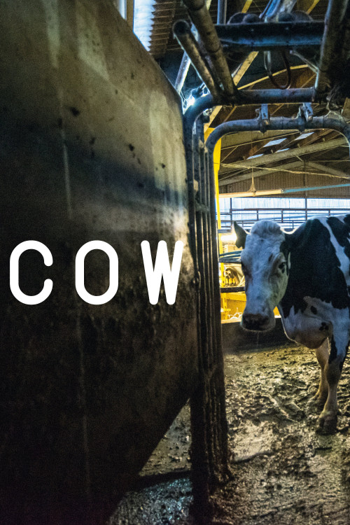 Cow (2021) poster