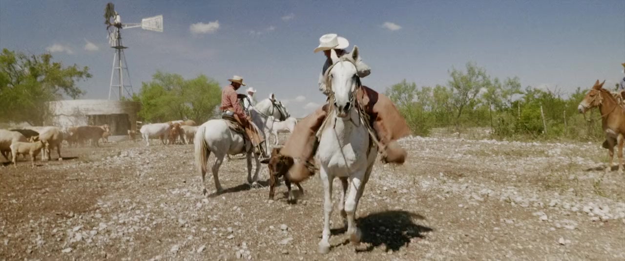 Cowboys Without Borders screenshot 3
