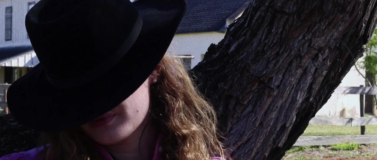 Cowgirls vs. Pterodactyls screenshot 3