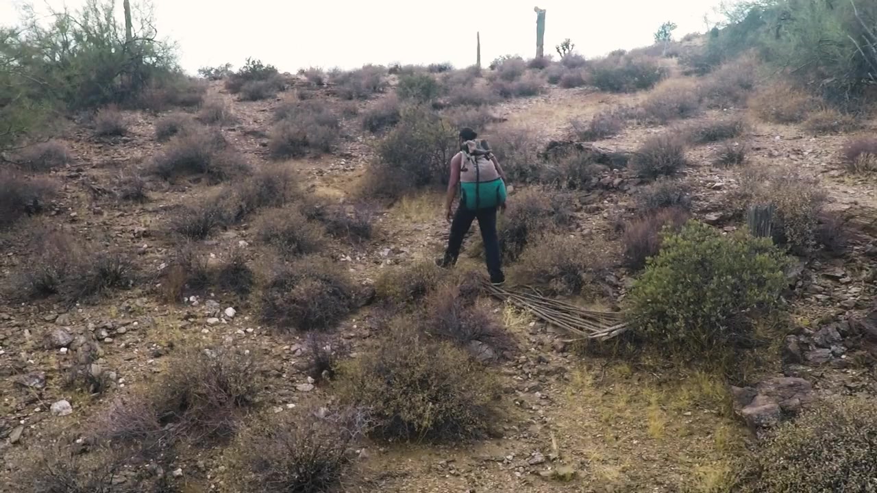 Coyotaje screenshot 1
