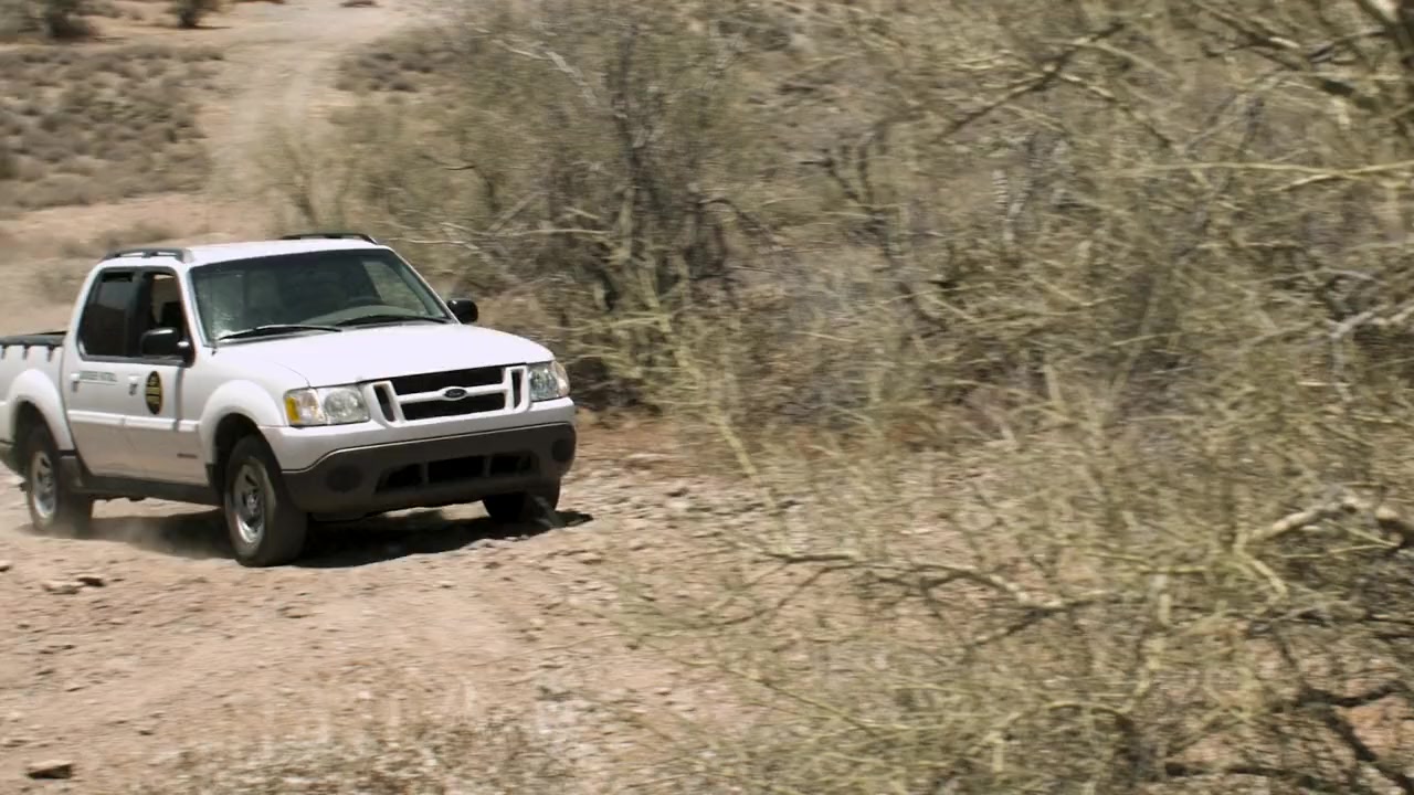 Coyotaje screenshot 2