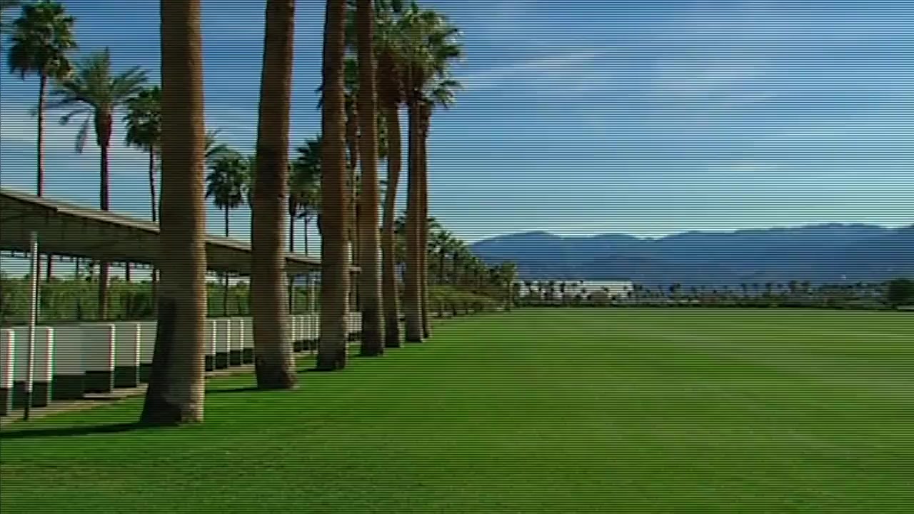 Coachella: 20 Years in the Desert screenshot 2