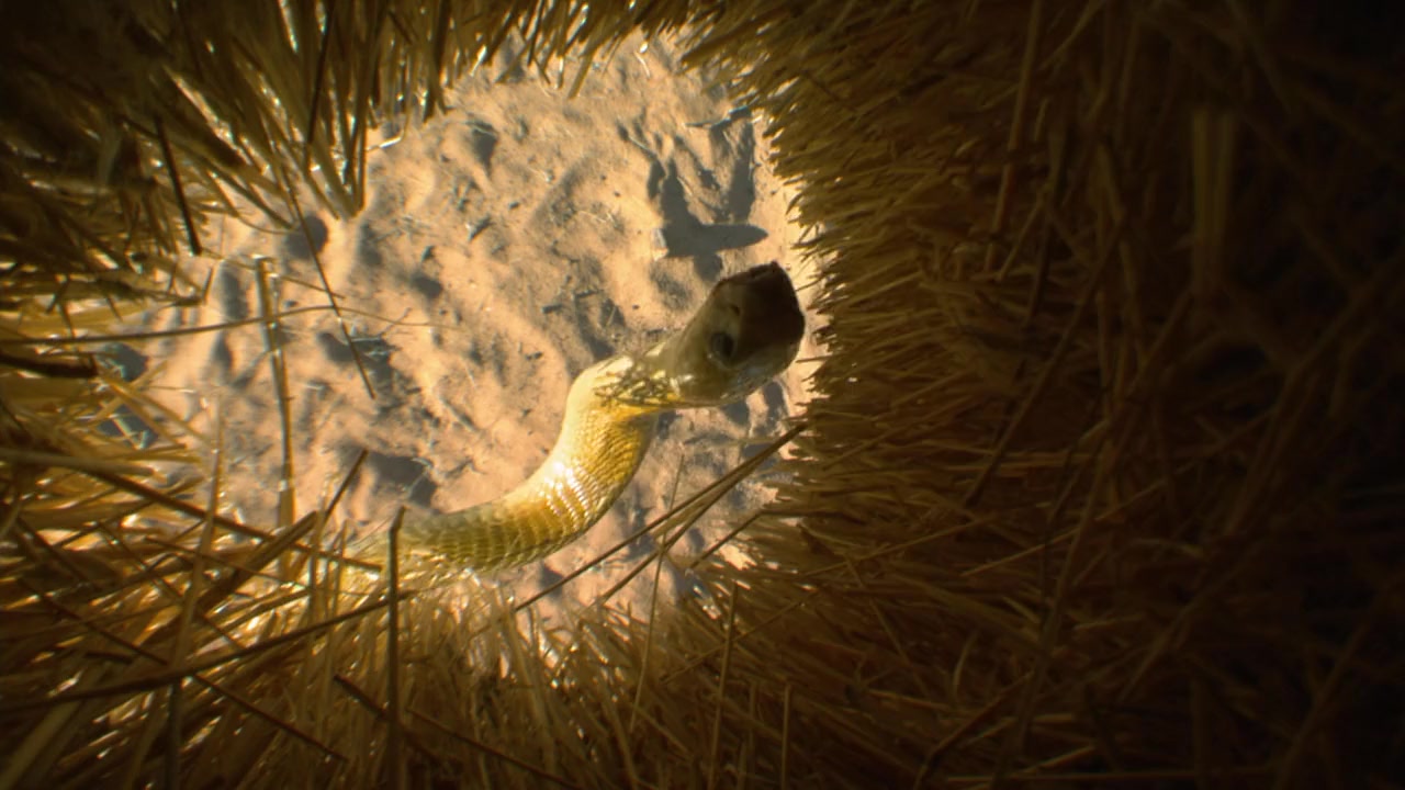 Cobra Mafia screenshot 2