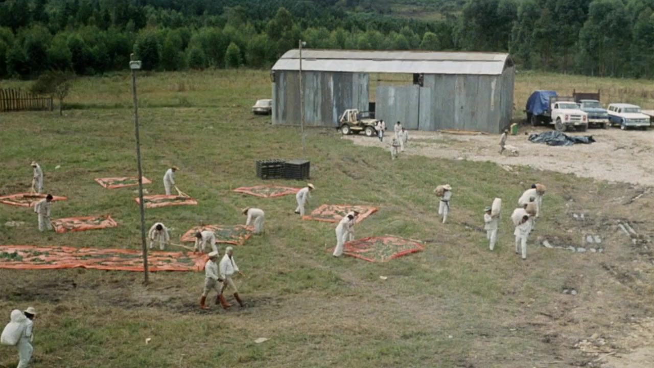 Cocaine Wars screenshot 1