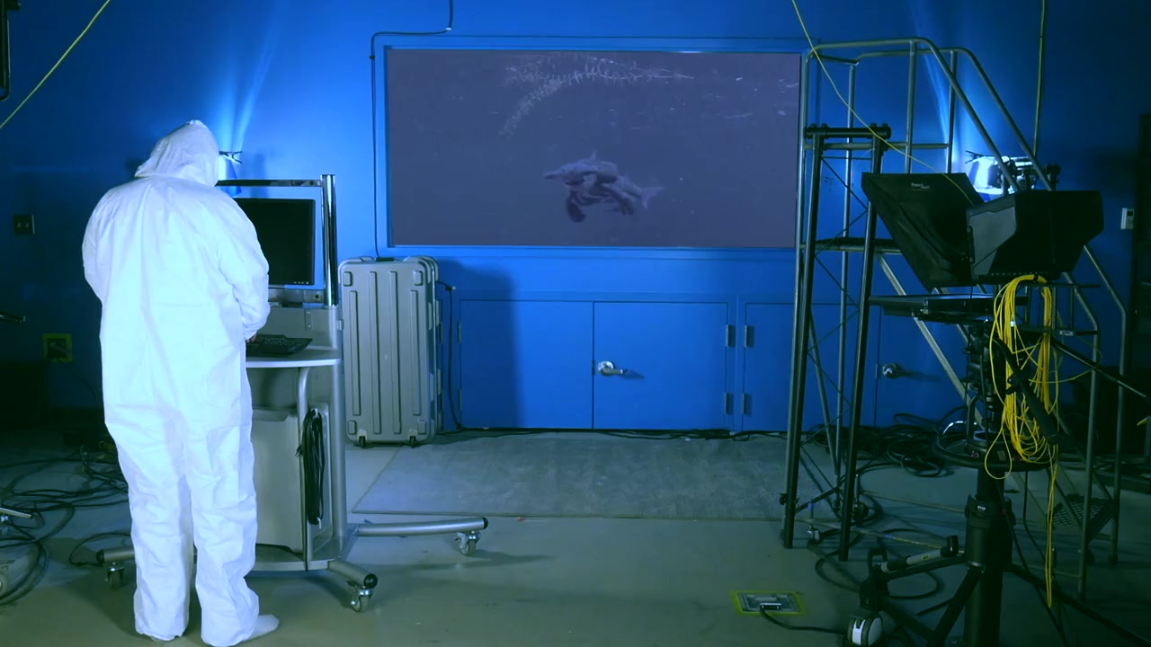 Cocaine Shark screenshot 2