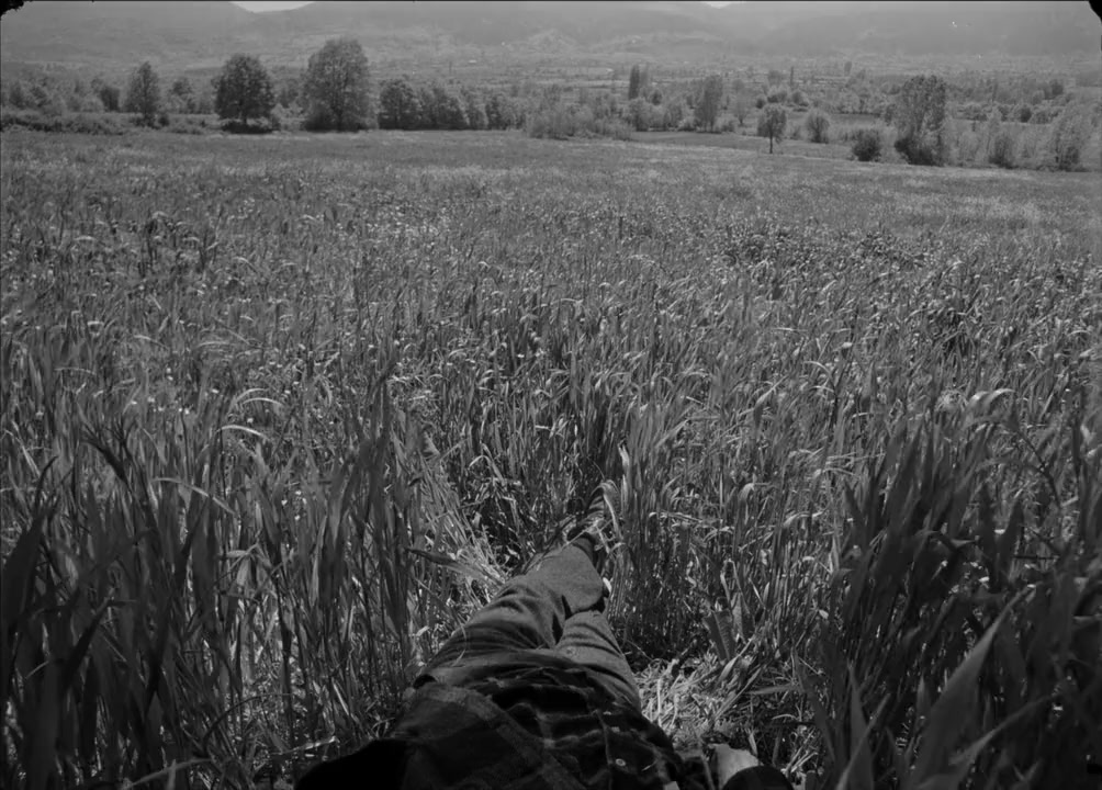 Koza screenshot 2