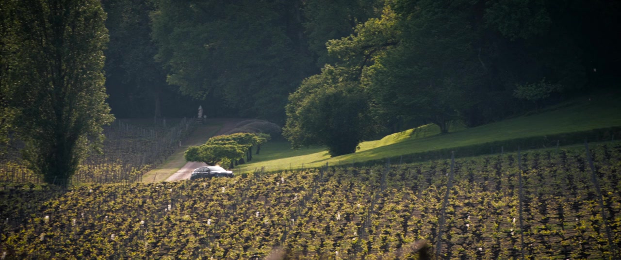 Cocorico screenshot 1