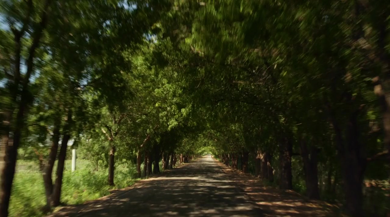 Cocote screenshot 3