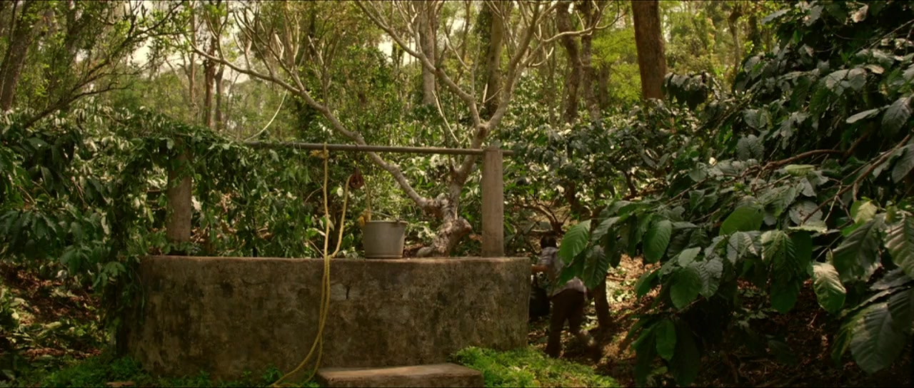 Coffee Bloom screenshot 1