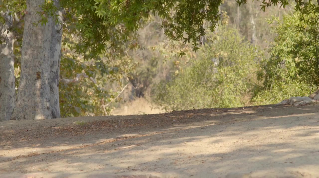 Coffin 2 screenshot 1