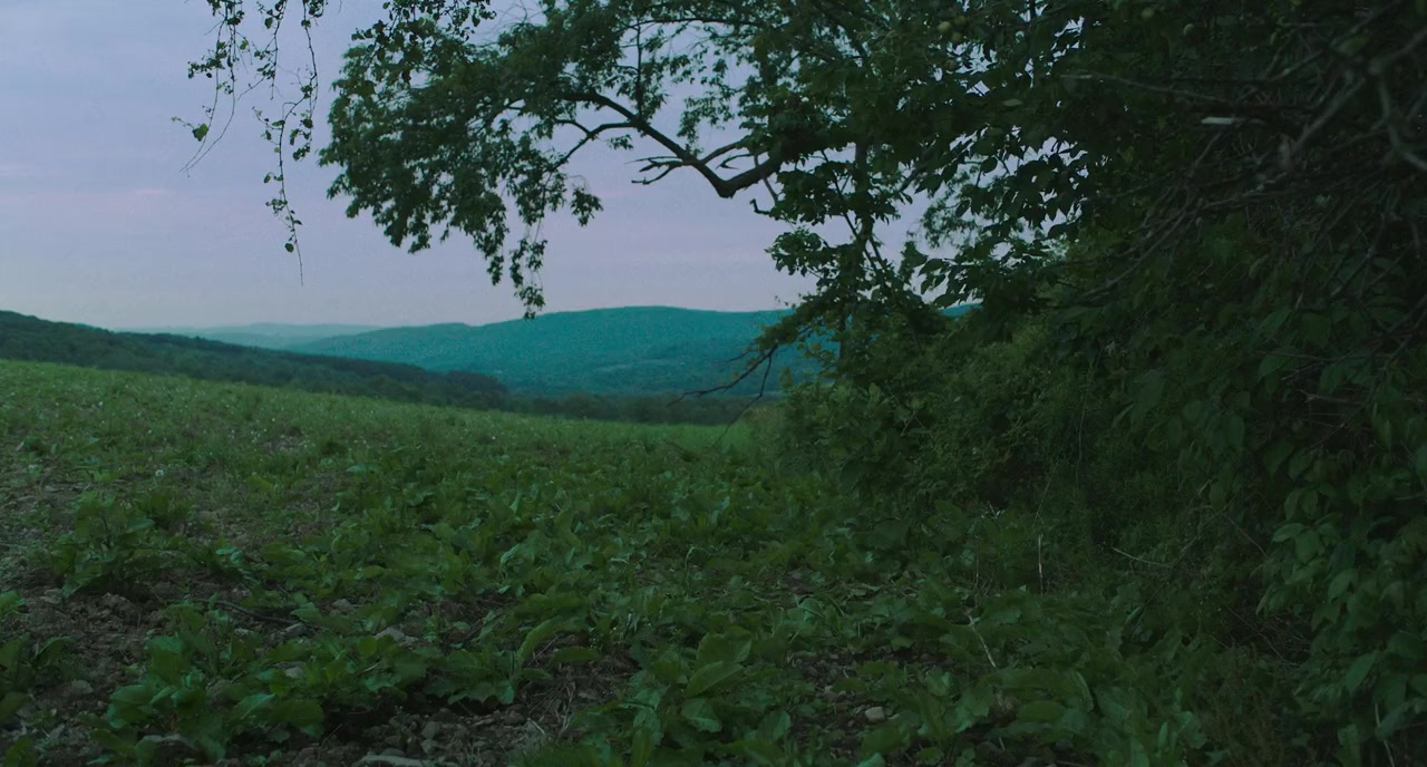 Cold Brook screenshot 1
