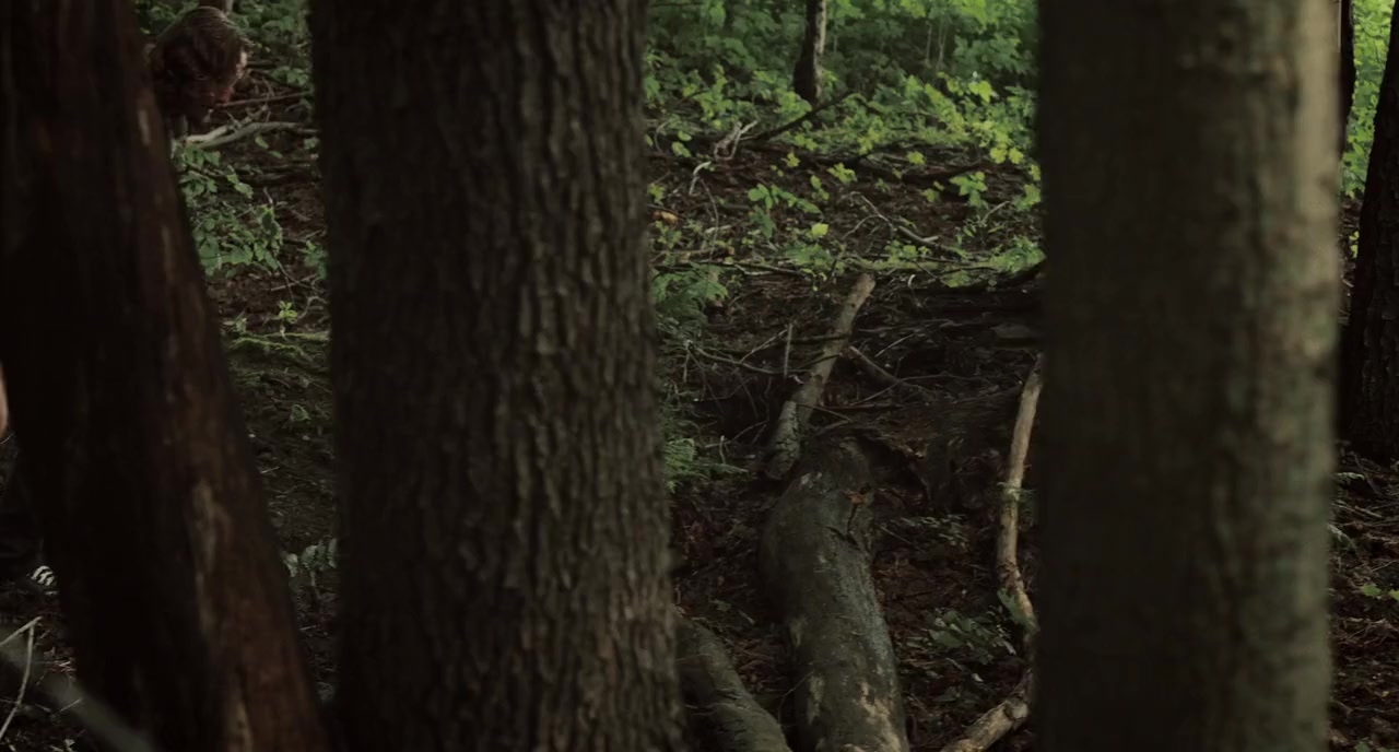 Cold Brook screenshot 2