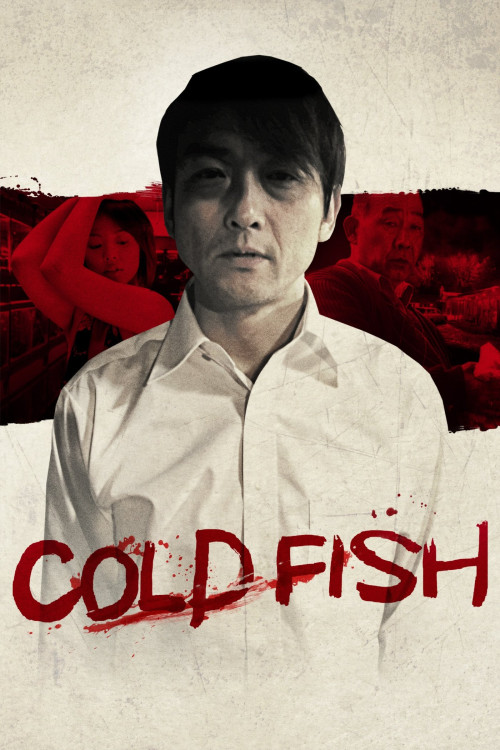 Tsumetai nettaigyo (2010) poster