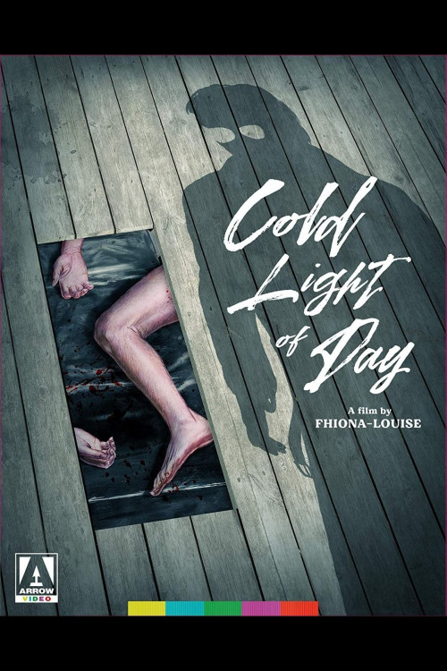 Cold Light of Day (1990) poster