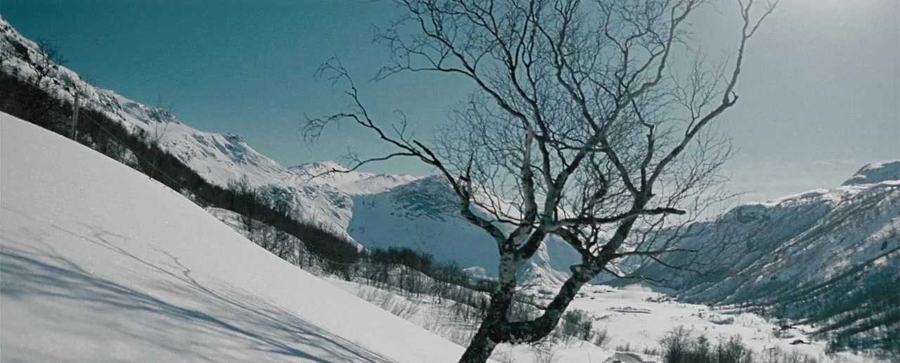 Fritt vilt II screenshot 1