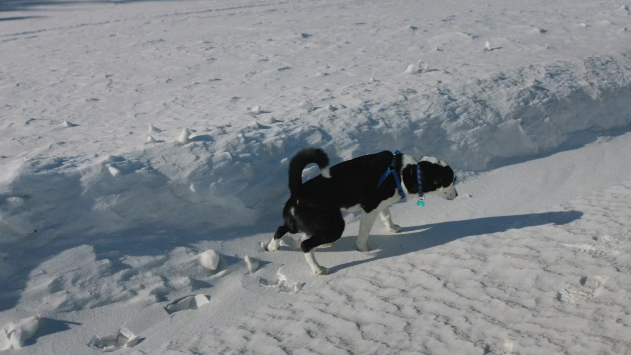 Cold Road screenshot 1
