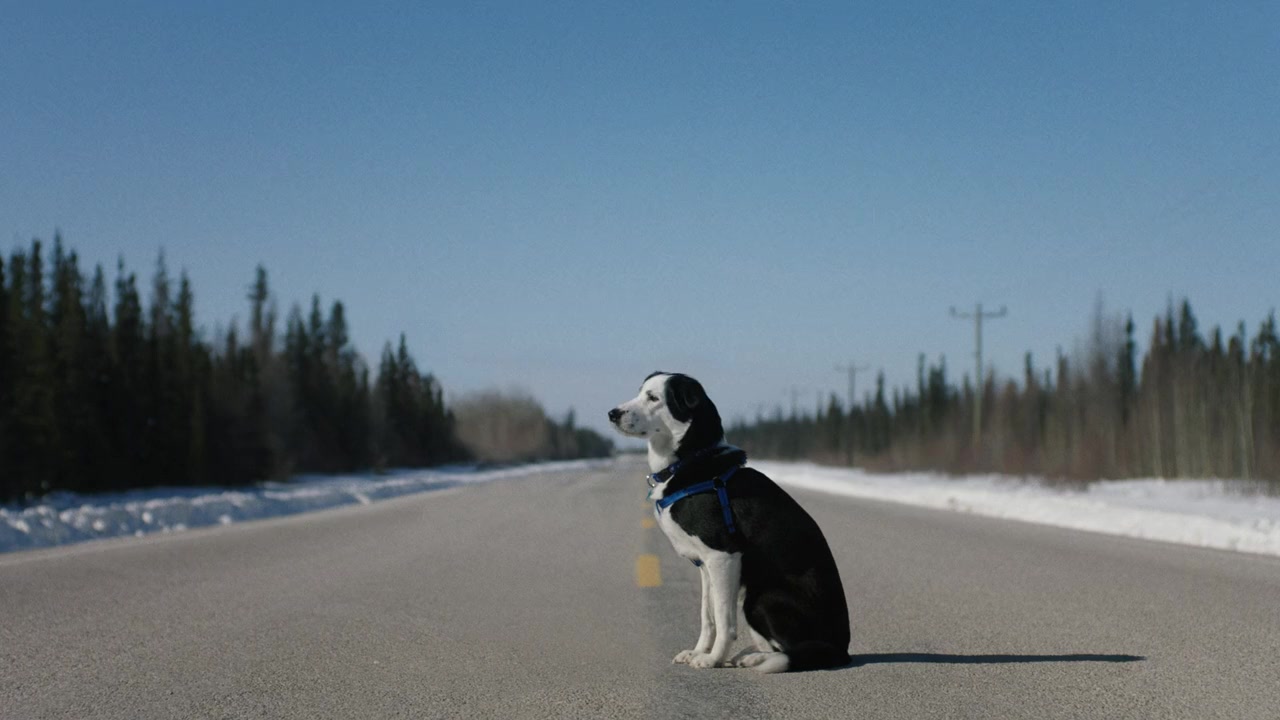 Cold Road screenshot 3