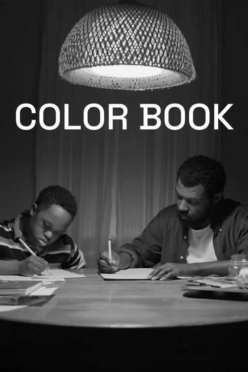 Color Book (2024) poster