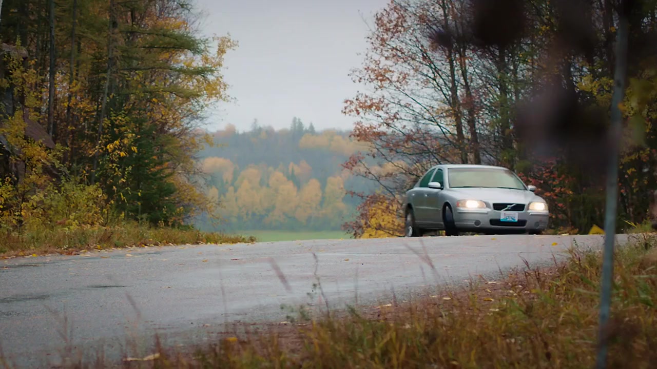 Colors of Love screenshot 3