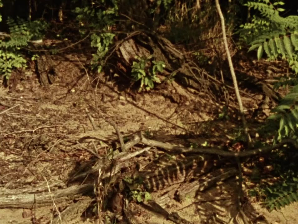 Combat Shock screenshot 2