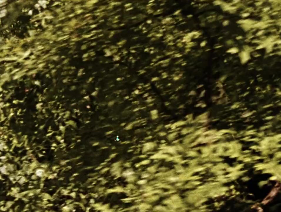 Combat Shock screenshot 3