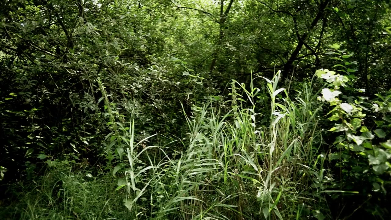 Der Siebzehnte screenshot 1