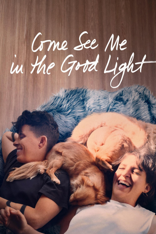 Come See Me in the Good Light (2025) poster