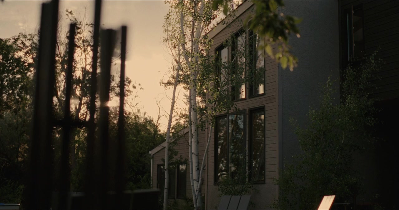 Come See Me in the Good Light screenshot 1