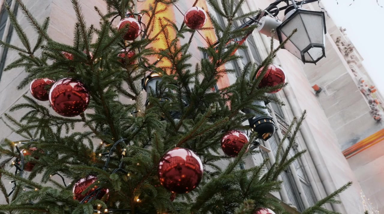 Coming Home for Christmas screenshot 1