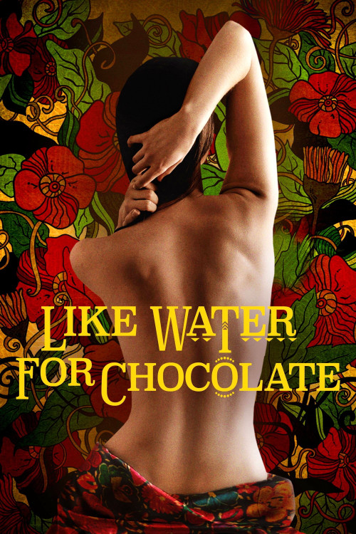 Como agua para chocolate (1992) poster