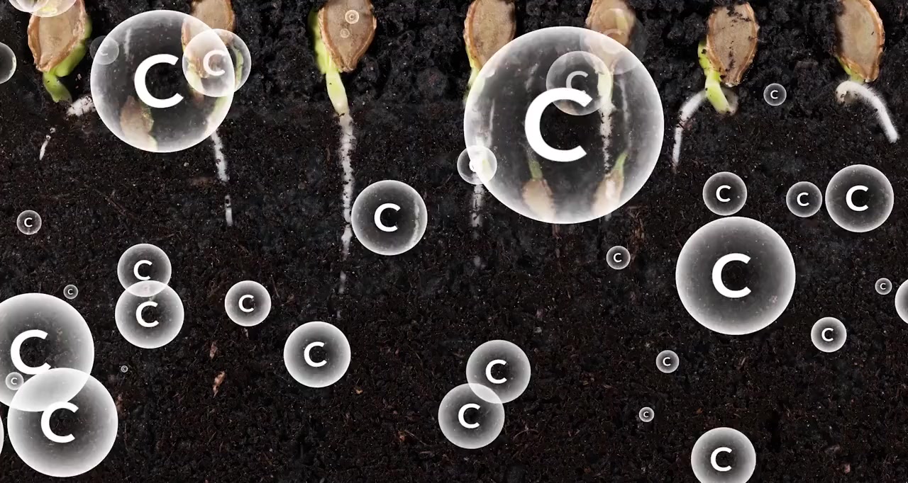 Common Ground screenshot 2