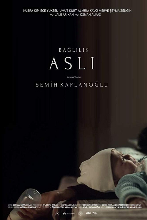 Baglilik Asli (2019) poster