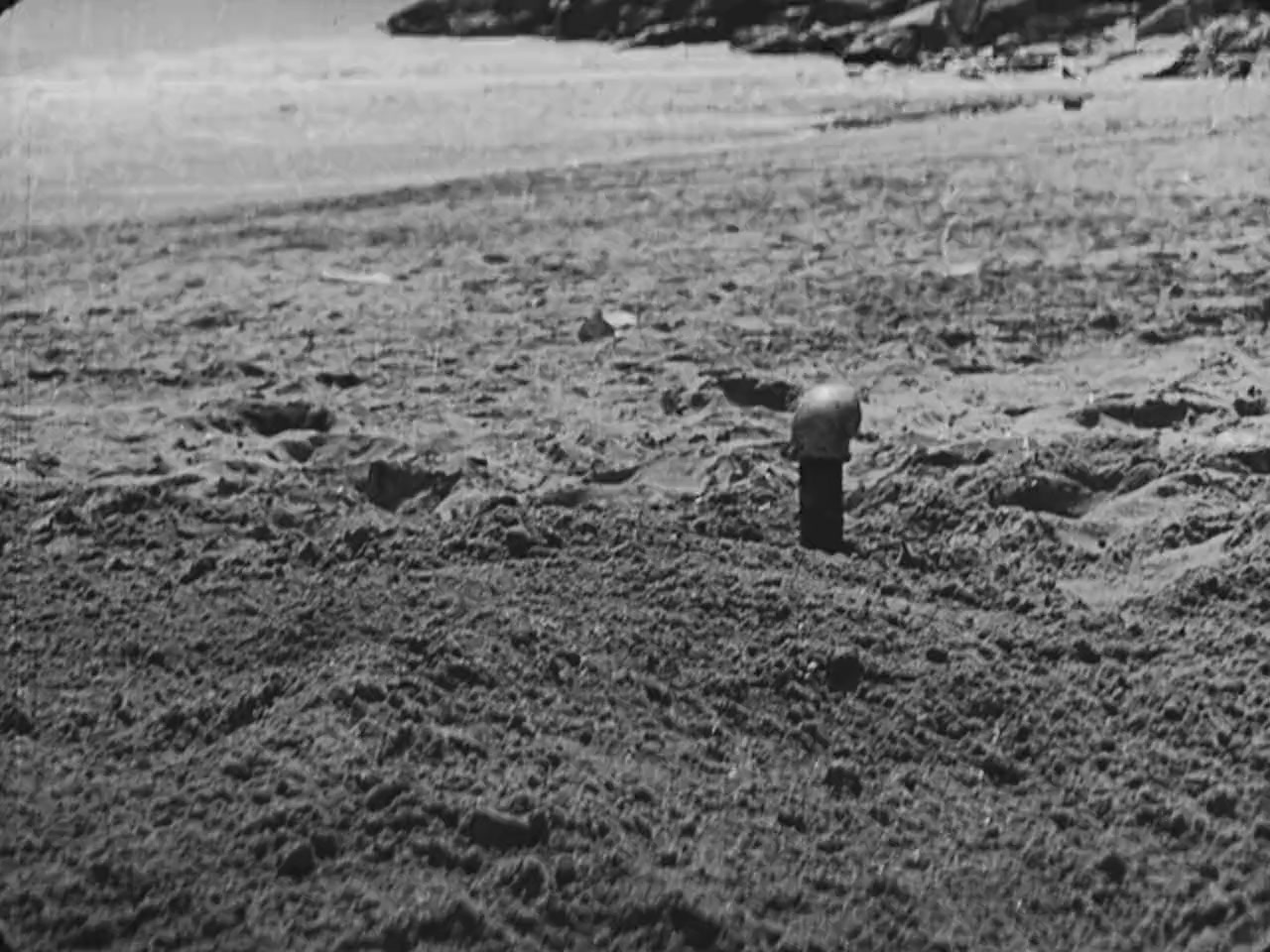 Coney Island screenshot 2