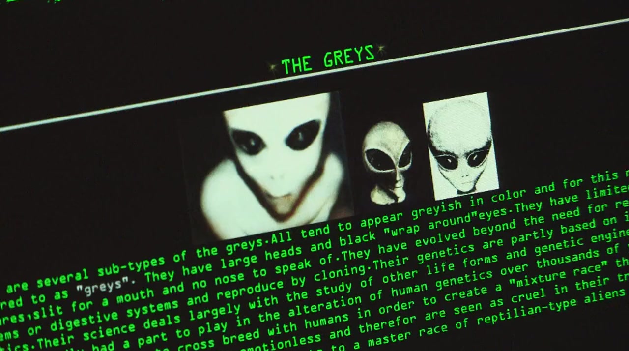 Confessions of an Alien Abductee screenshot 2