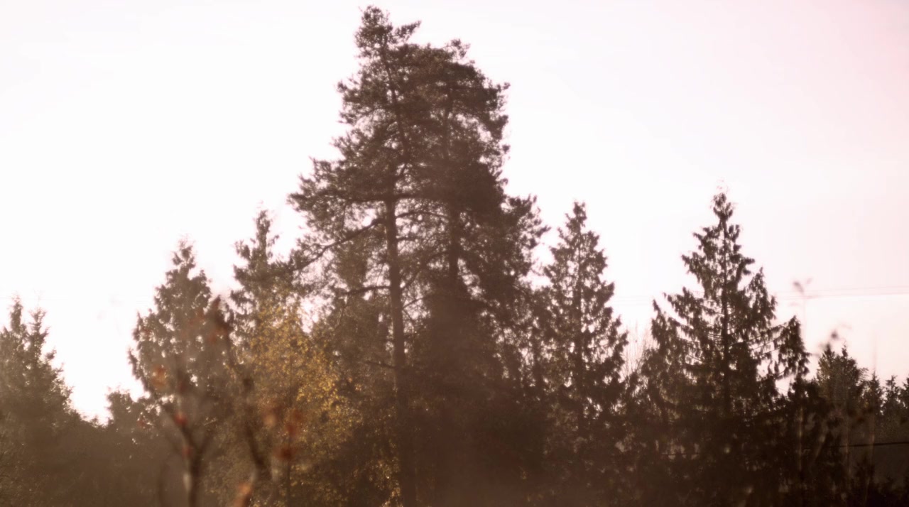 Confined screenshot 2