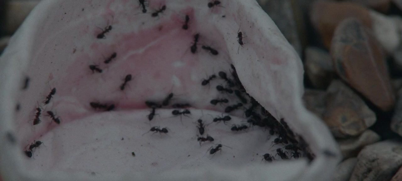 Containment screenshot 3