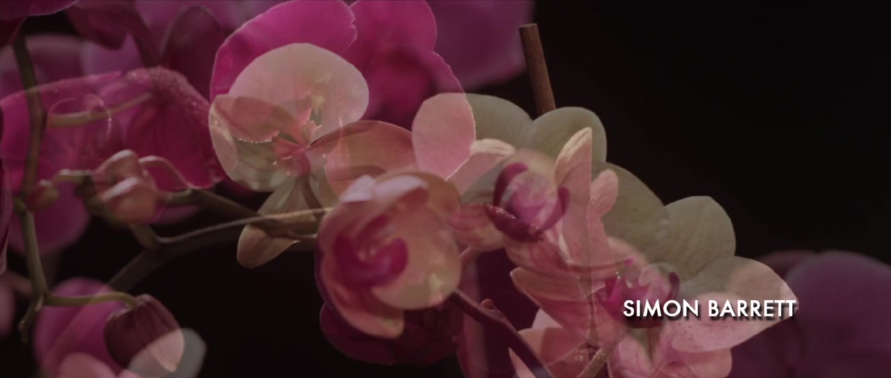 Contracted screenshot 2
