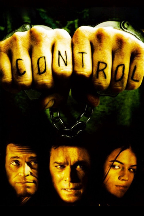 Control (2004) poster