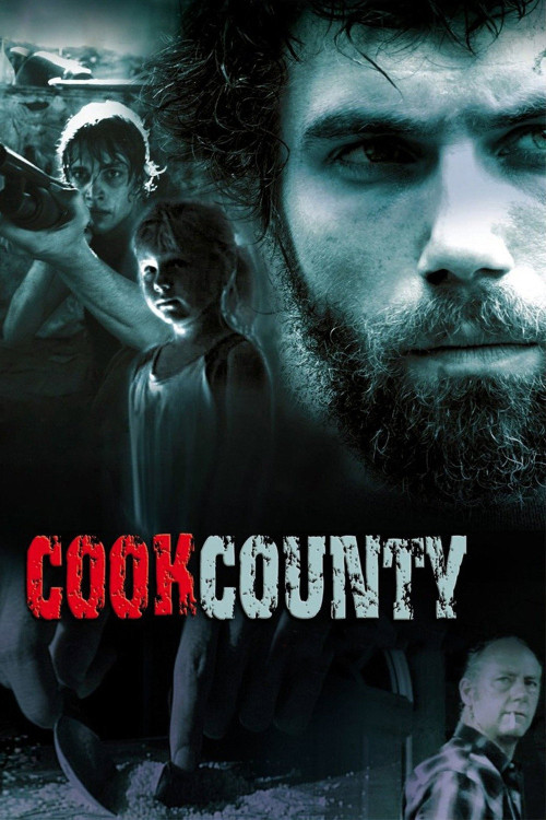 Cook County (2008) poster