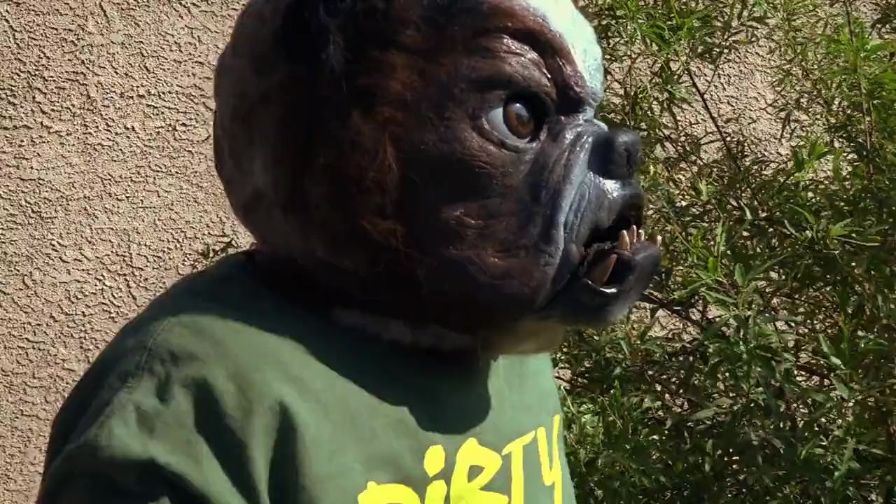 Cool Cat vs Dirty Dog: The Virus Wars screenshot 3