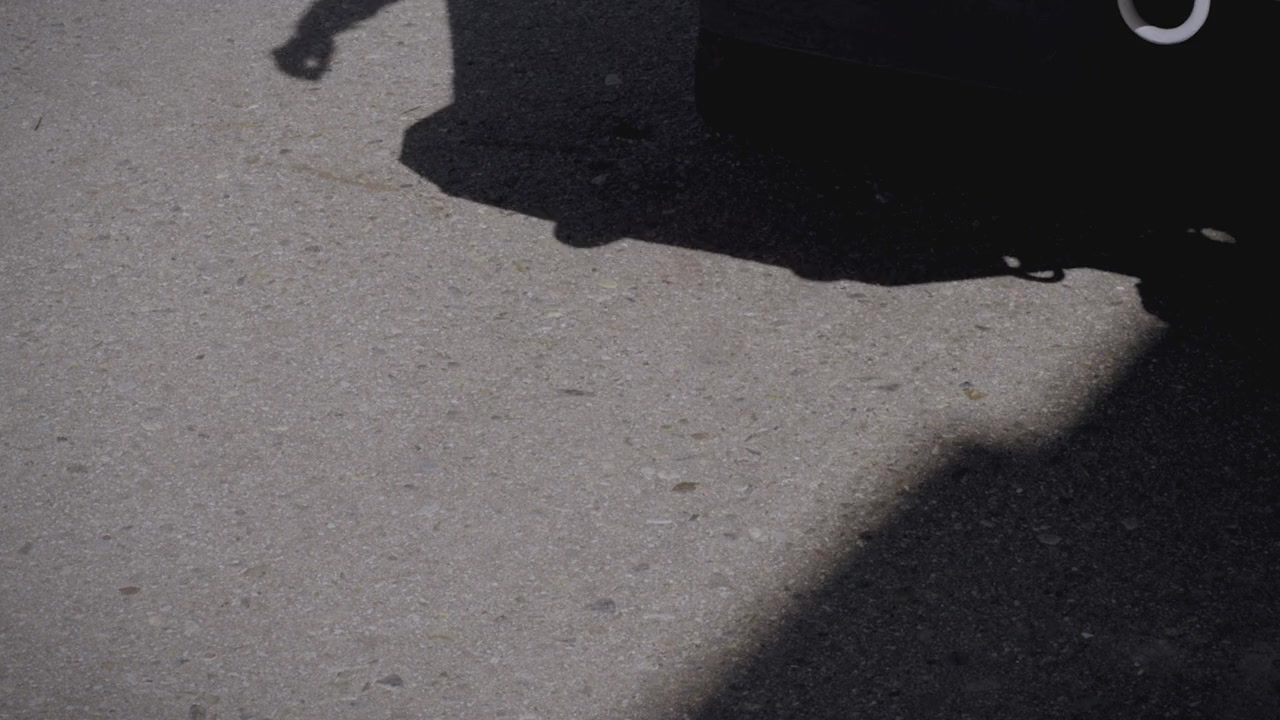 Cops and Robbers screenshot 1