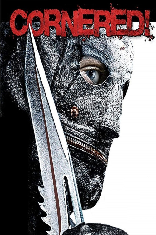 Cornered! (2008) poster
