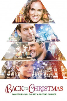 Correcting Christmas (2014) poster